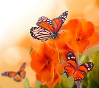 Lebendige Schmetterlinge zwischen blühenden orangefarbenen Blumen im Frühling