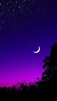 Sérénité au clair de lune : Un ciel nocturne violet foncé