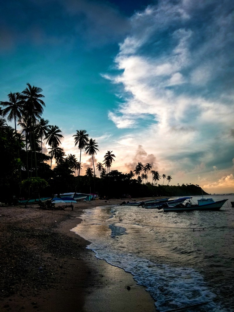 Много лодок на пляже на закате с пальмами (тринидад, trinidad, природа, пляж, карибский)