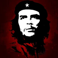 бхагатсингх, bhagathsingh, че, che, cheguevara