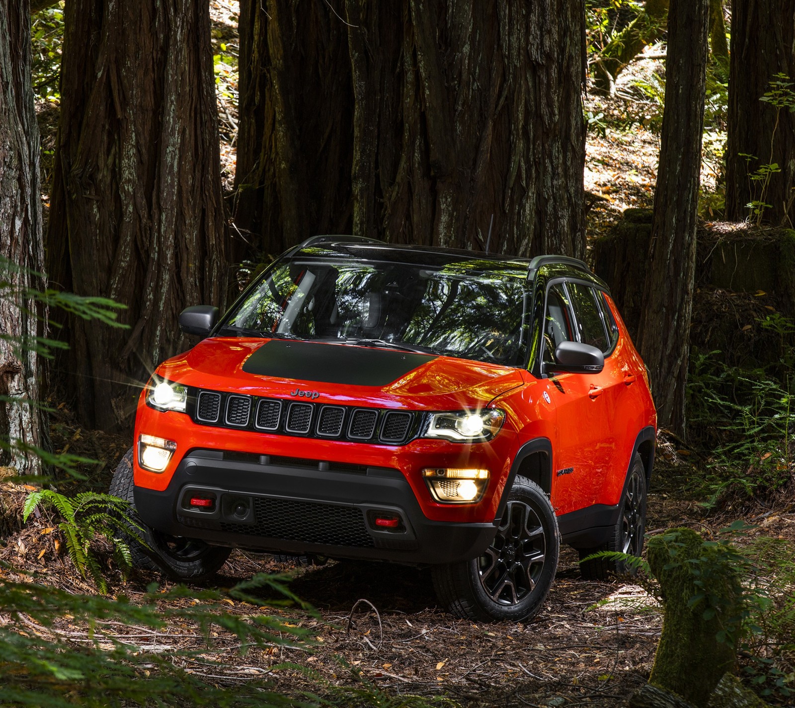 Um jeep compass vermelho dirigindo por uma floresta (américa, preto, bússola, falcão, jeep)