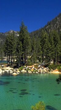 Lago tranquilo rodeado de pinos y costas rocosas