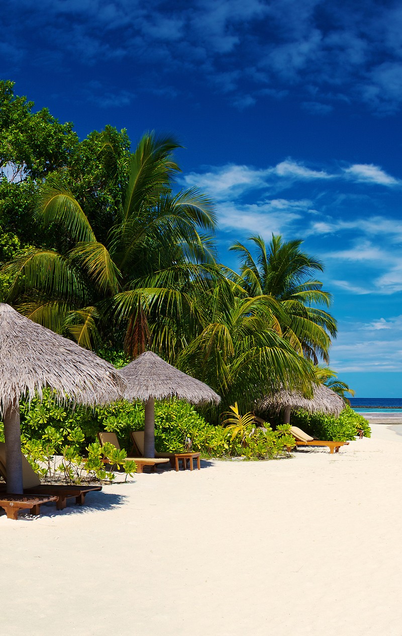 Hay muchas cabañas de paja en la playa con palmeras (playas, agua)