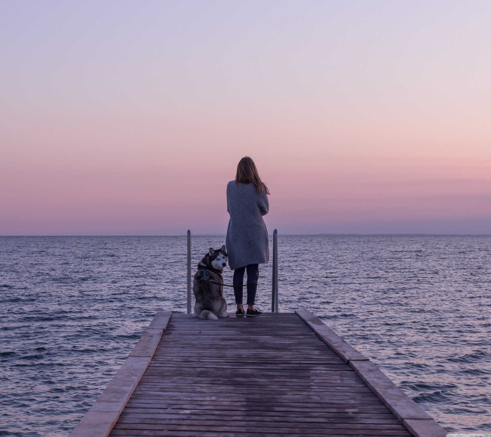 Une girafe debout sur un quai avec un chien en laisse (chien, fille, amour, mer)