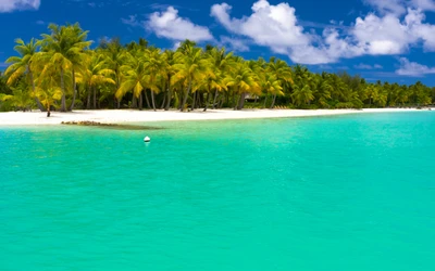 Laguna azul con exuberantes palmeras bajo un cielo brillante