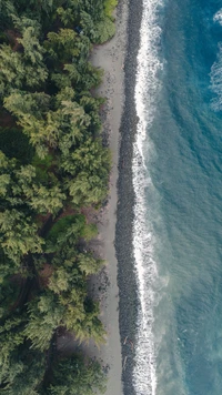 Coastal Vegetation Meeting Serene Waters