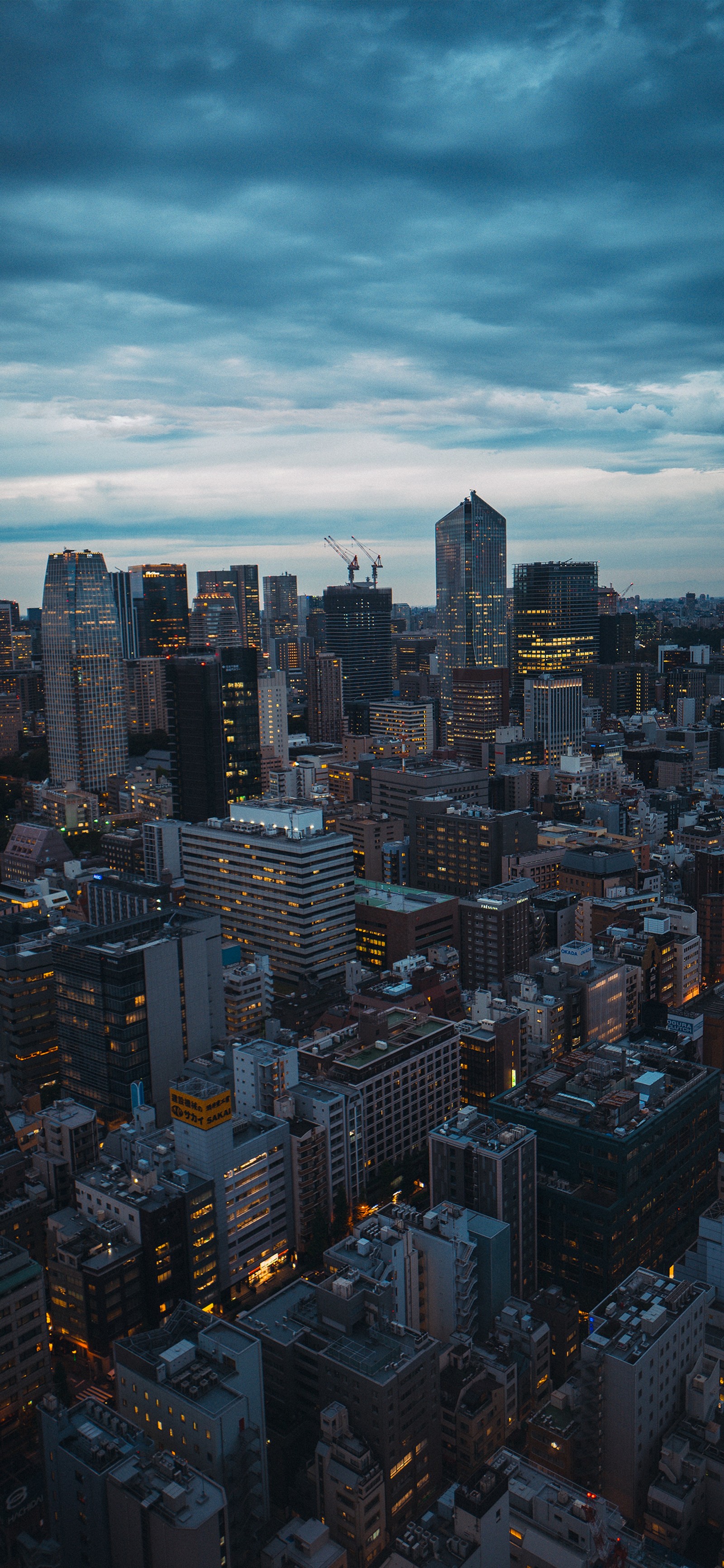 Vista de uma cidade ao entardecer com alguns prédios (torre de tóquio, tokyo tower, edifício, bloco de torre, dia)