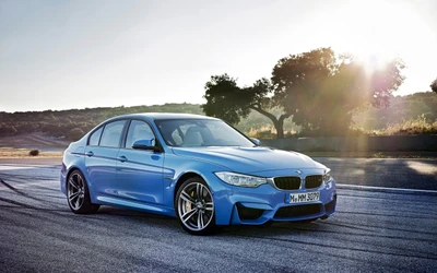 BMW M3 2015 en bleu frappant, mettant en valeur un mélange de luxe et de performance sur un fond pittoresque.