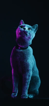 A striking grey cat illuminated with vibrant purple and magenta hues, gazing upwards with curiosity.