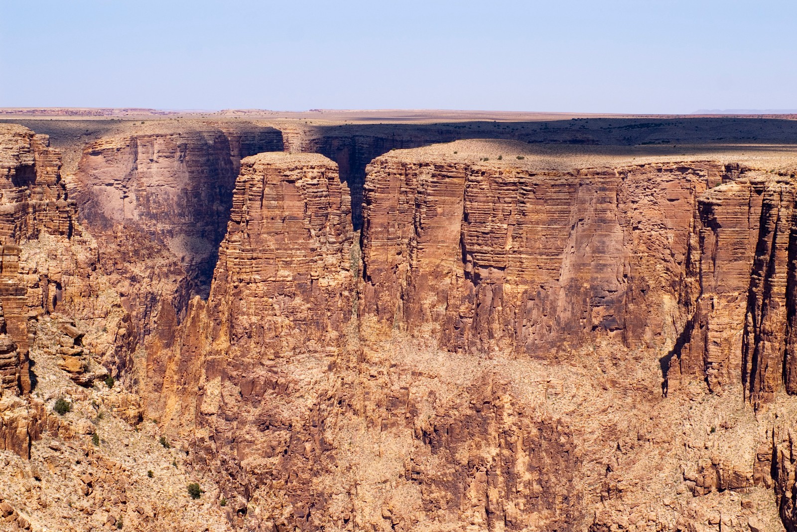 Girafas no deserto com vista para um cânion (grand canyon, cânion, parque nacional, badlands, formação)