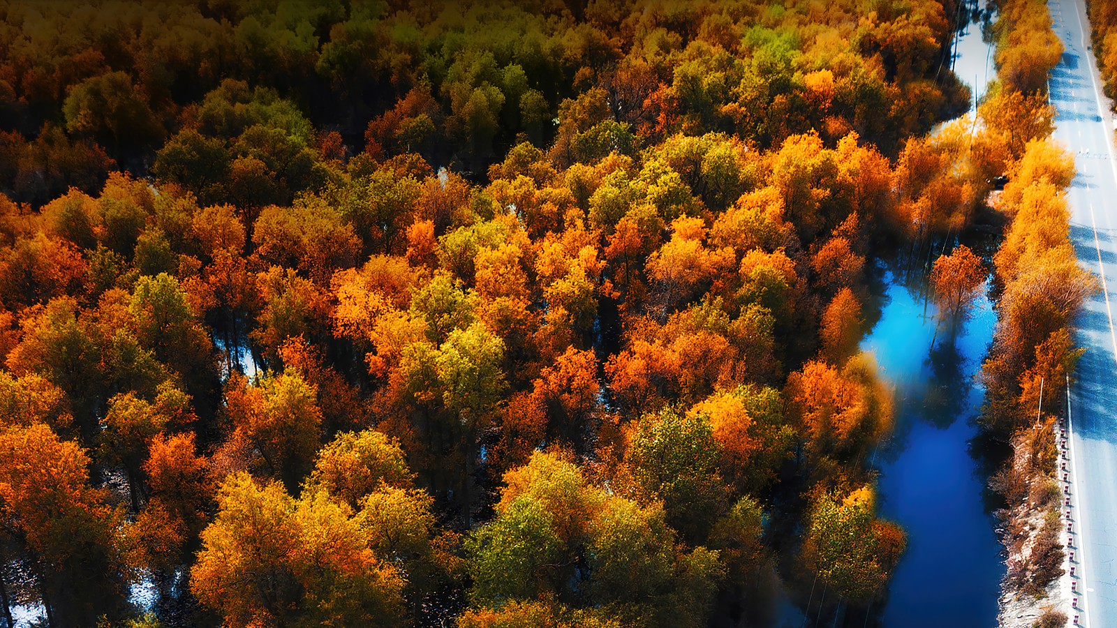 Una vista de un río que corre a través de un bosque junto a un bosque (bosque, vista aérea, escenario, huawei mate, fondo)