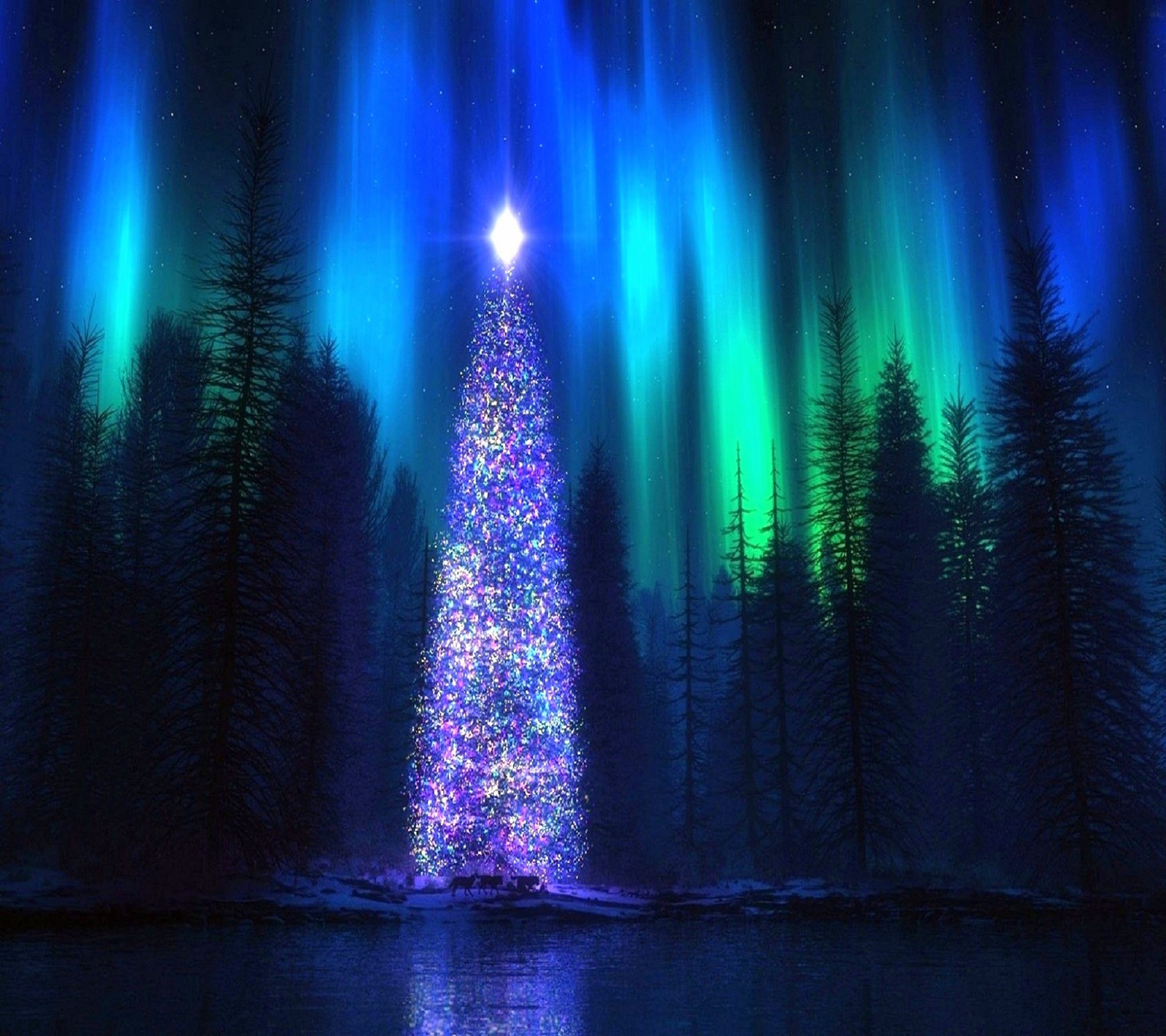 A brightly lit christmas tree in the middle of a forest (christmas, tree)