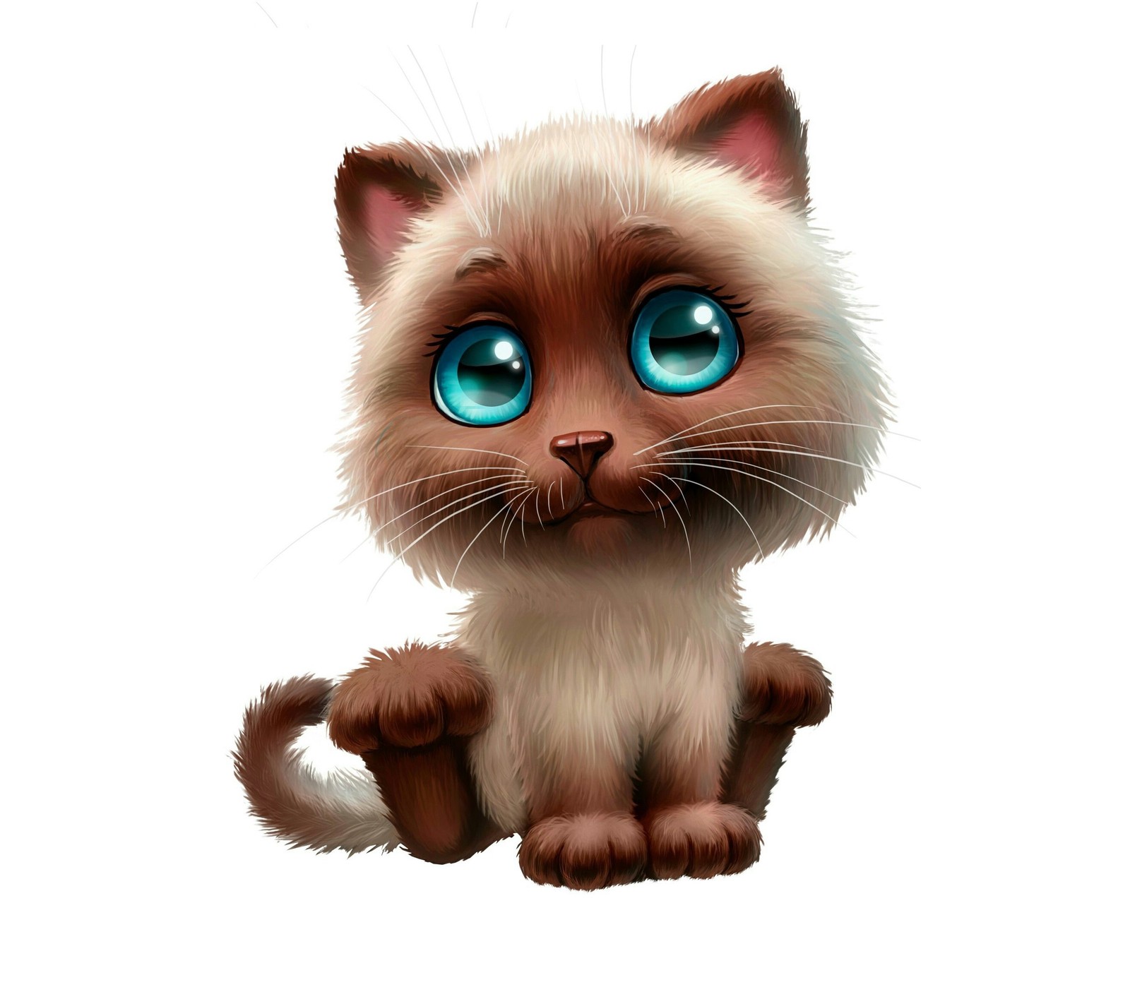 Cartoon cat with blue eyes sitting on the ground (abej, beograd, love, pets, pussycat)