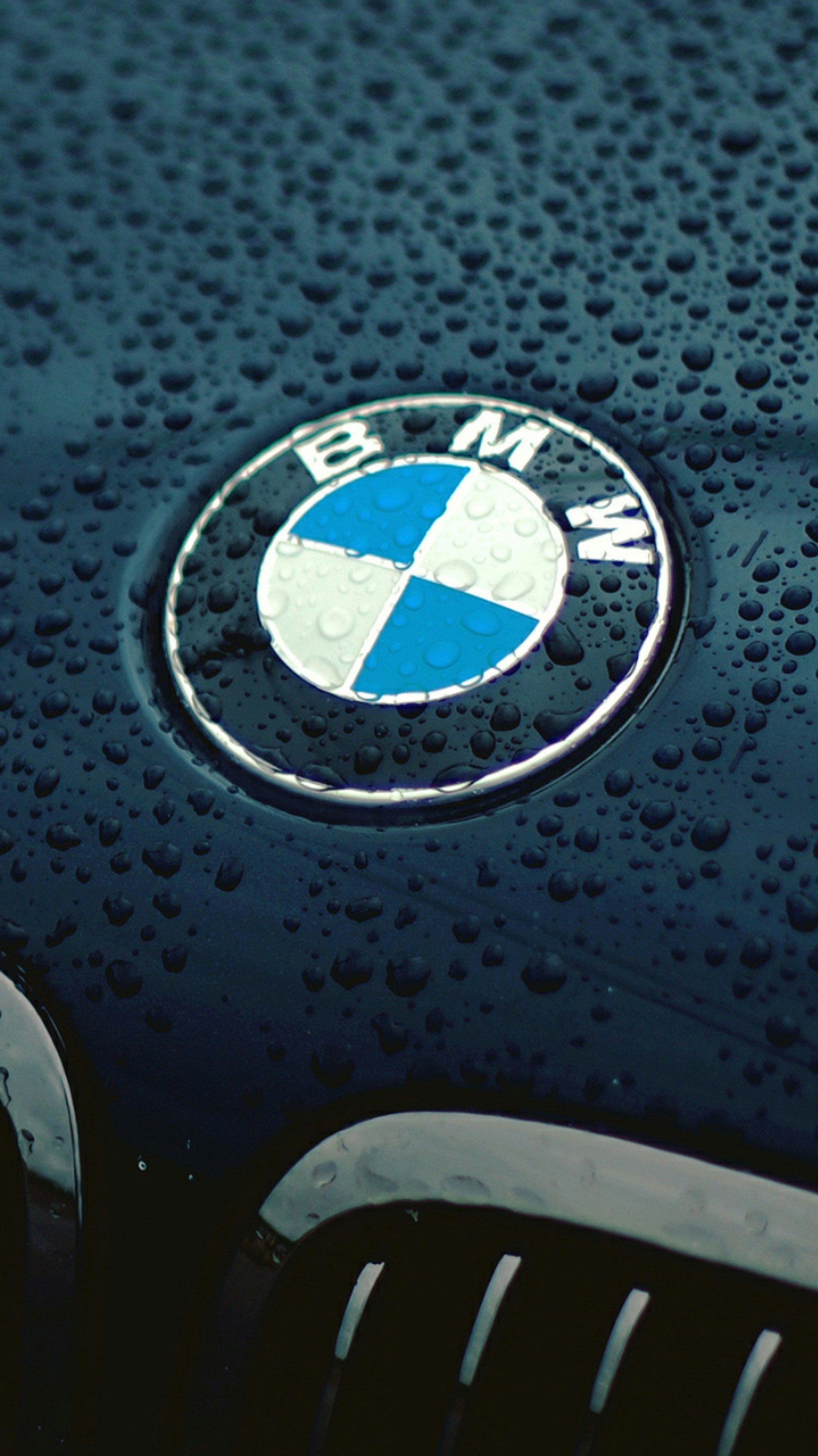 Close-up do logotipo da bmw no capô de um carro (carro, logotipo)