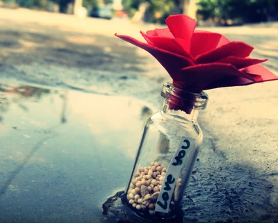 beach, bottle, flower, note, text