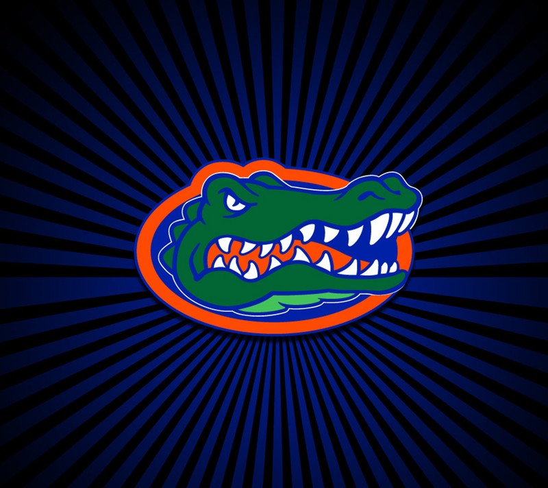 Крупный план головы аллигатора с зубастой улыбкой. (florida football, флорида гейтерс, florida gators, аллигаторы)