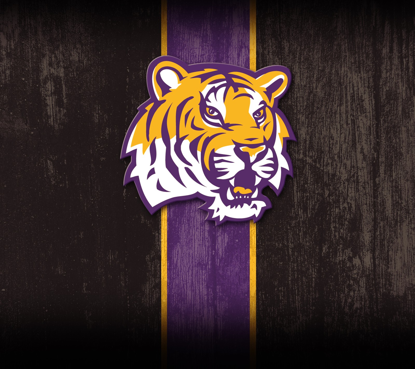 Descargar fondo de pantalla colegio, lsu, sec, tigres, universidad