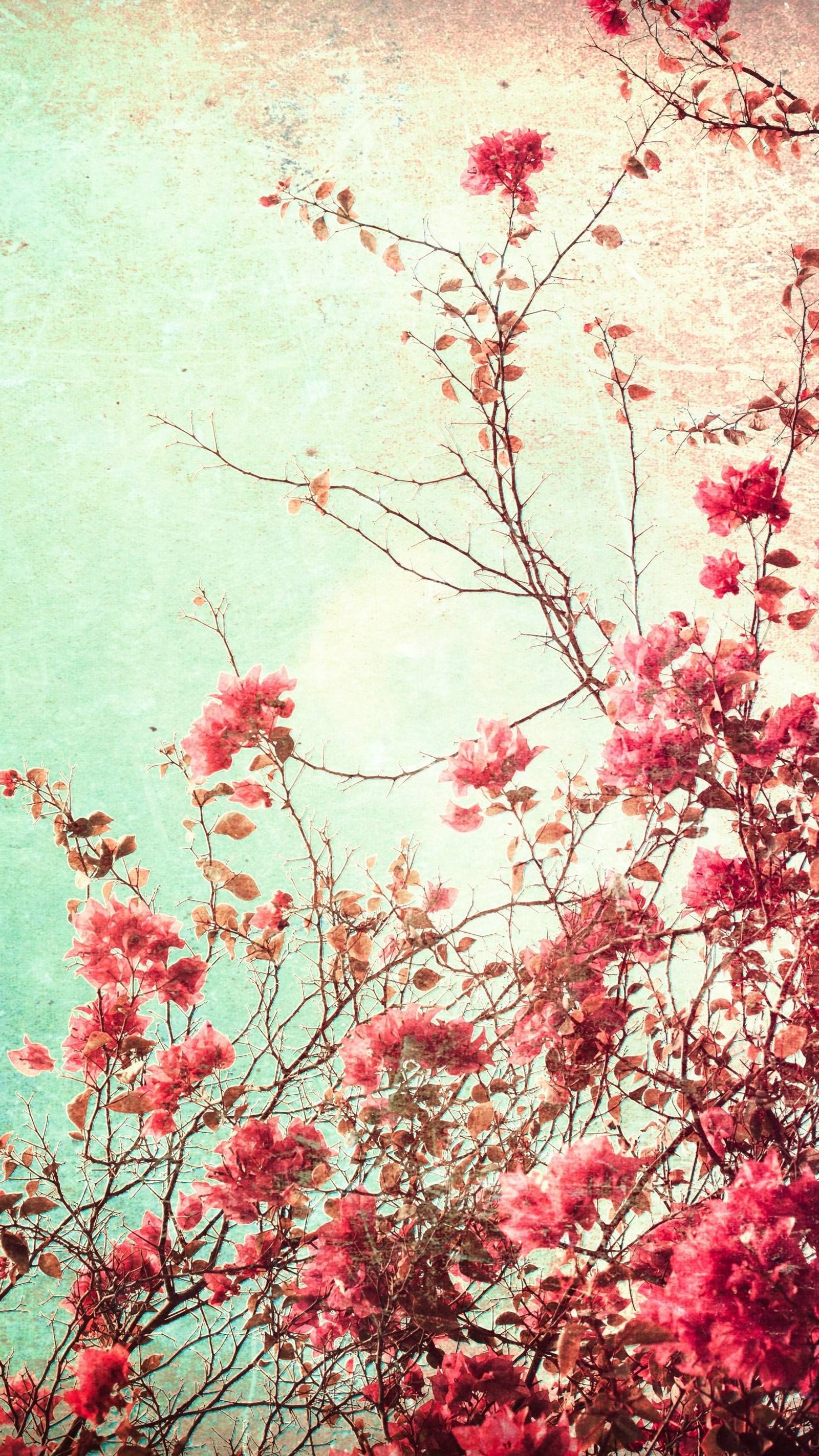 Descargar fondo de pantalla flores, patrón, vintage