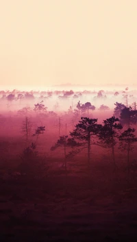 forest, pink wallpaper