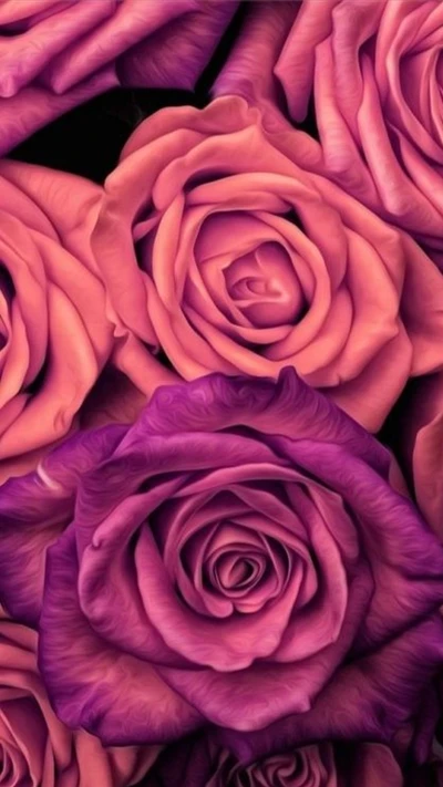 Vibrant Roses in Shades of Pink and Purple