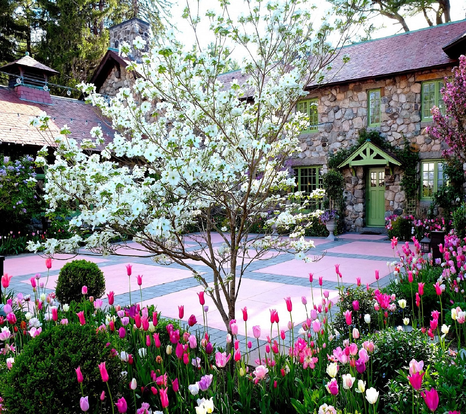 There is a tree with white flowers in front of a house (nice)