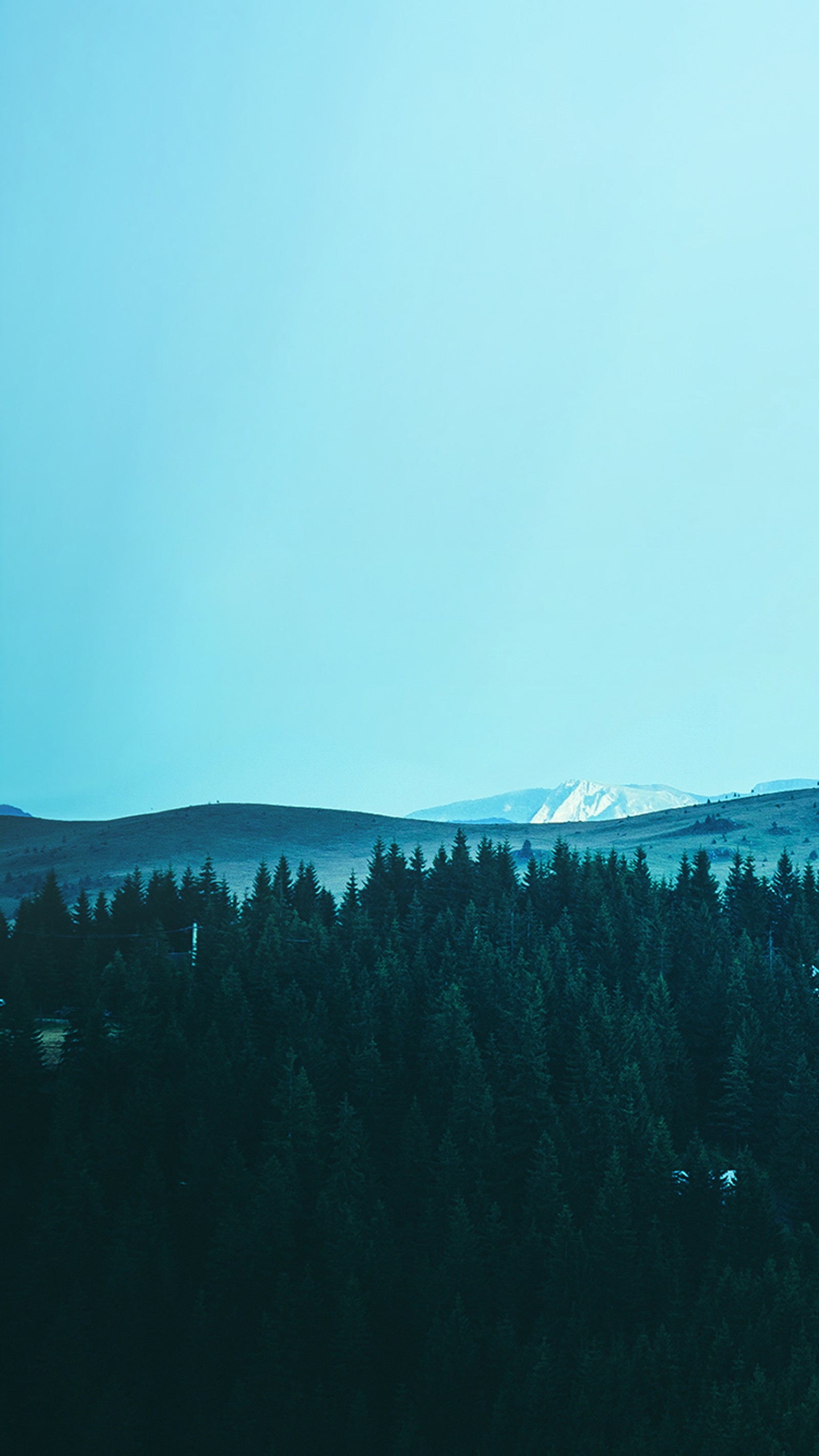 Il y a un avion qui survole une forêt avec une montagne en arrière-plan (bleu, forrest, paysage, montagnes, détente)