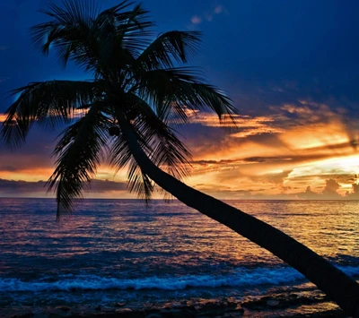 beach, hd, landscape, nature, sea