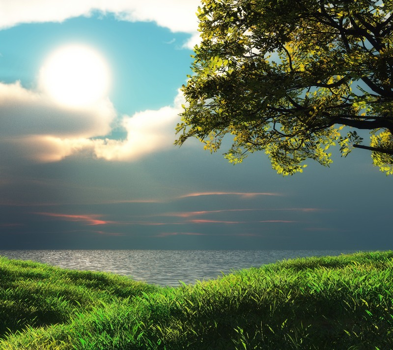 Un árbol en un campo de hierba con un lago de fondo (océano, vista)