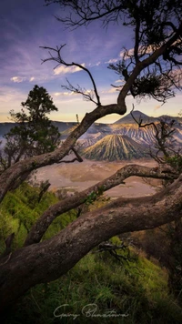 paisagem, bromo, indonésia