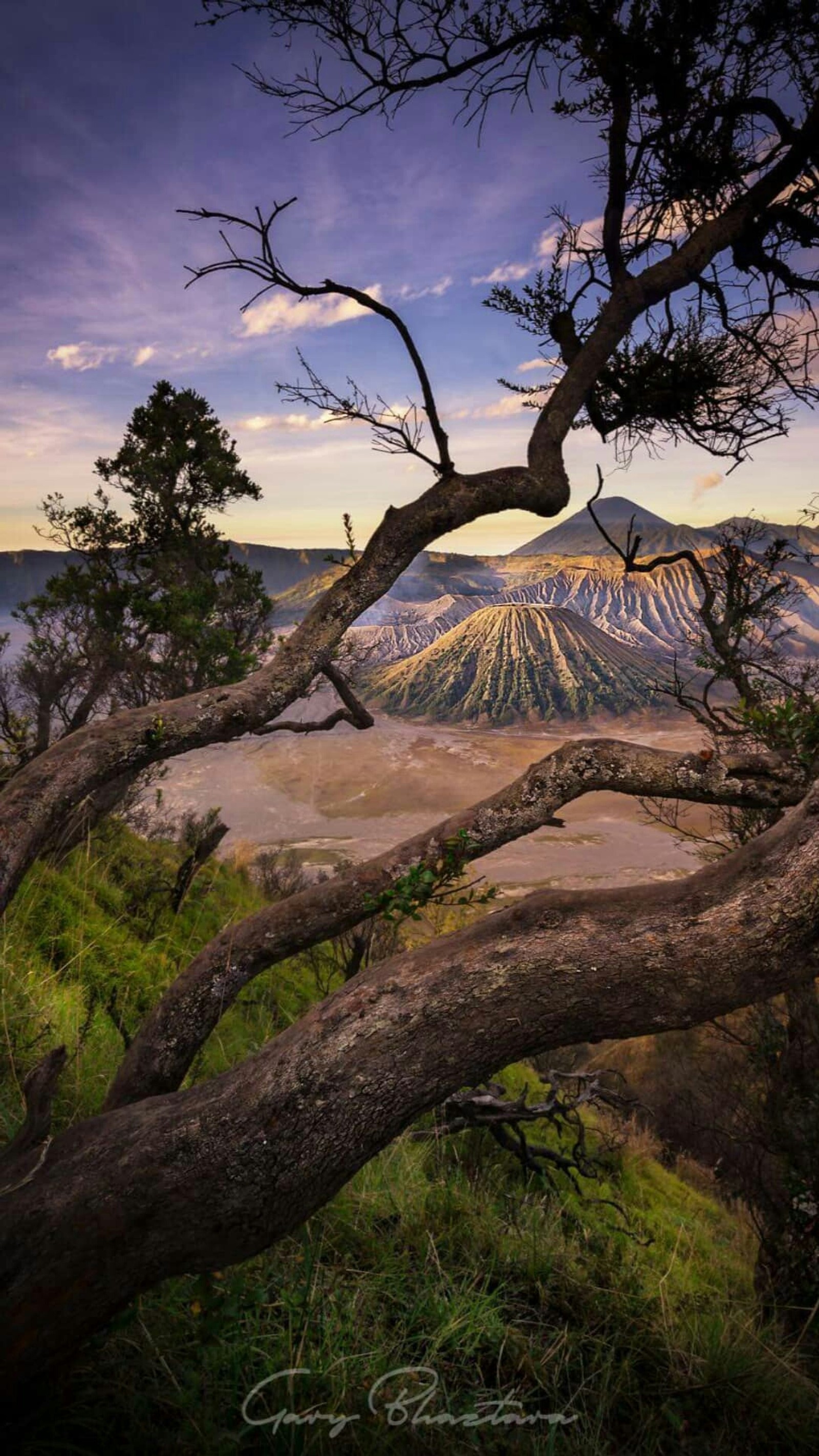 landscape, bromo, indonesia Download Wallpaper