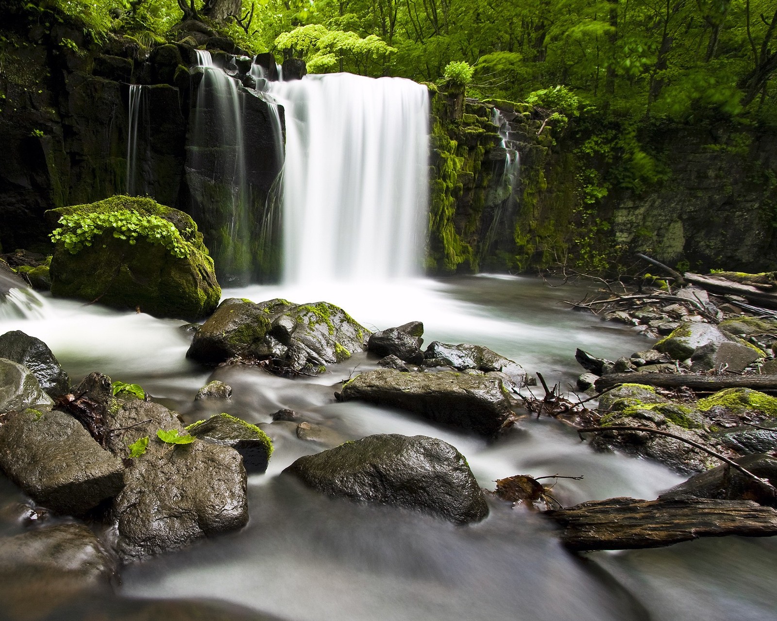 Hay una cascada que fluye sobre rocas en el bosque (bosque, lago, naturaleza, rio)