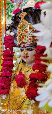 jai maa kaali, jai mata di, mata, matadi, navratri