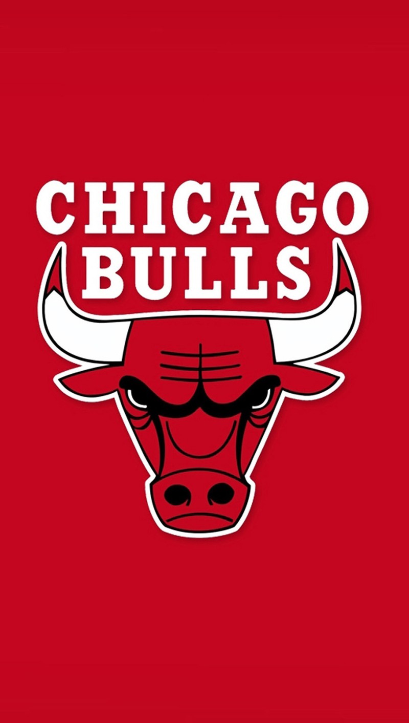 Логотип chicago bulls на красном фоне (fds, sdf)