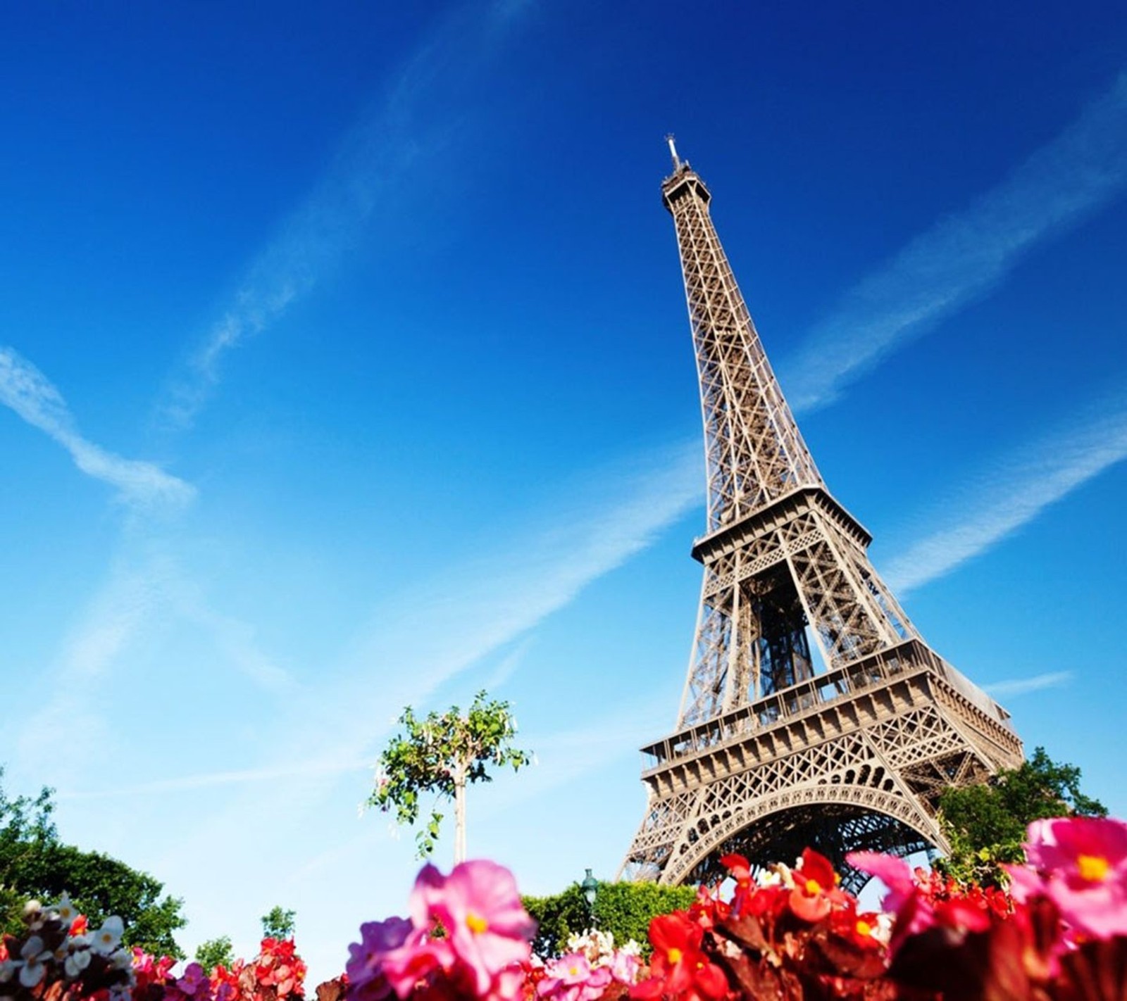 Girafas em primeiro plano de um campo de flores com a torre eiffel (torre eiffel, flor, flores, frança, natureza)