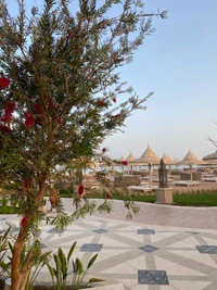 Paysage luxuriant avec arbre décoratif et vue sur le pavillon