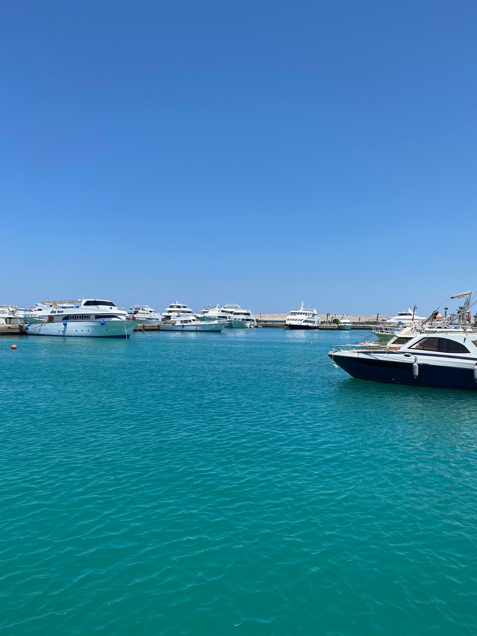 Boats are docked in the water near a marina with a blue sky (marina, watercraft, boat, naval architecture, luxury yacht)