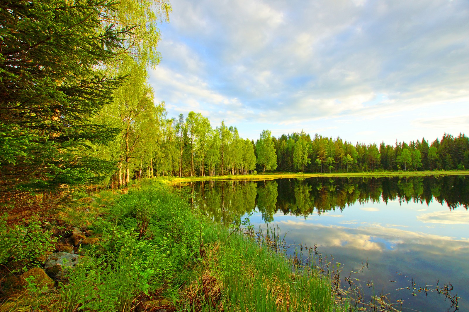 Blick auf einen see mit einem wald im hintergrund (reflexion, natur, baum, wasser, naturschutzgebiet)