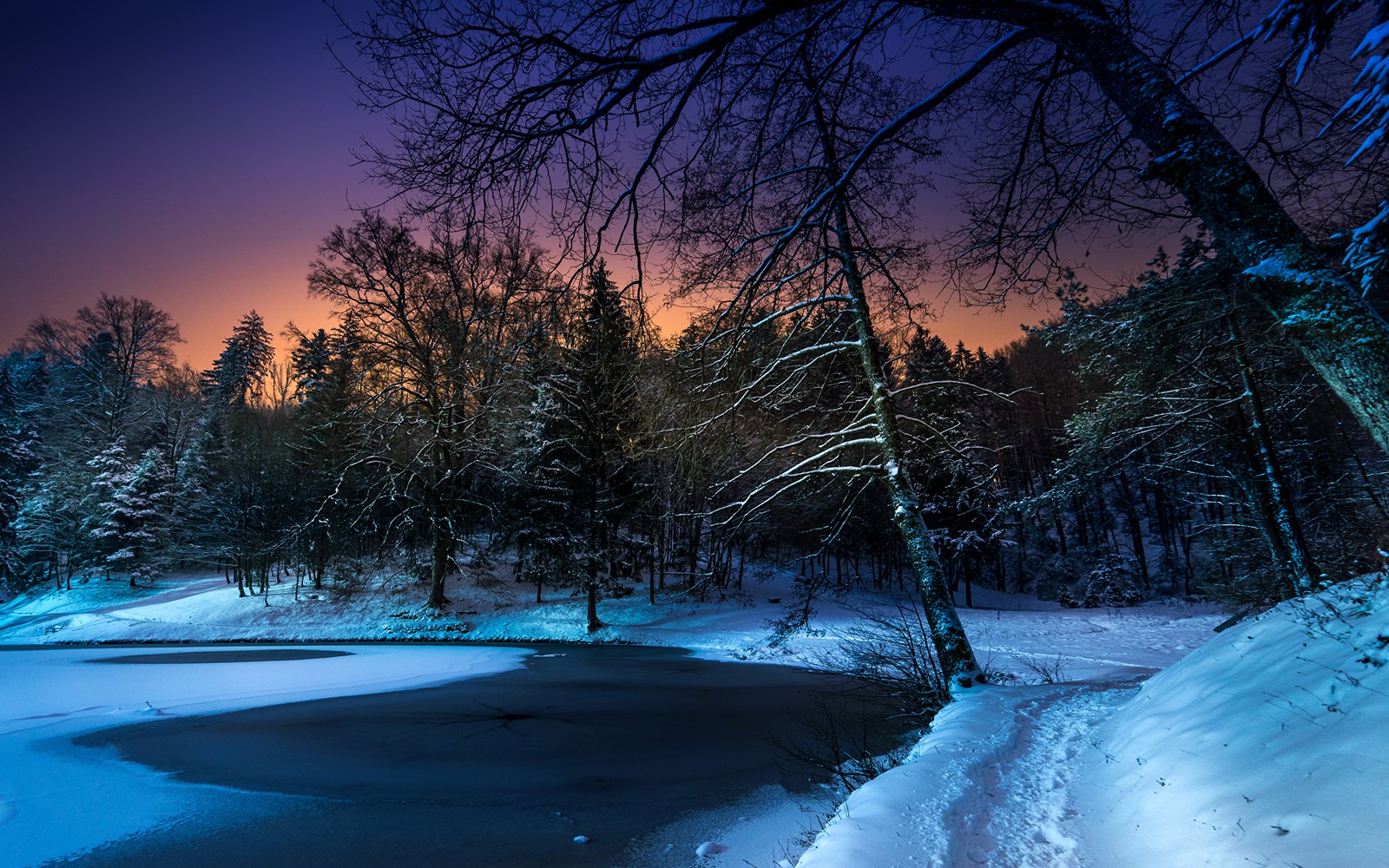 Un paysage enneigé avec un étang gelé et des arbres la nuit (hiver, neige, nature, arbre, gel)