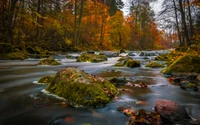 Autumn Serenity: A Tranquil Stream Amidst Colorful Foliage and Rocky Outcrops