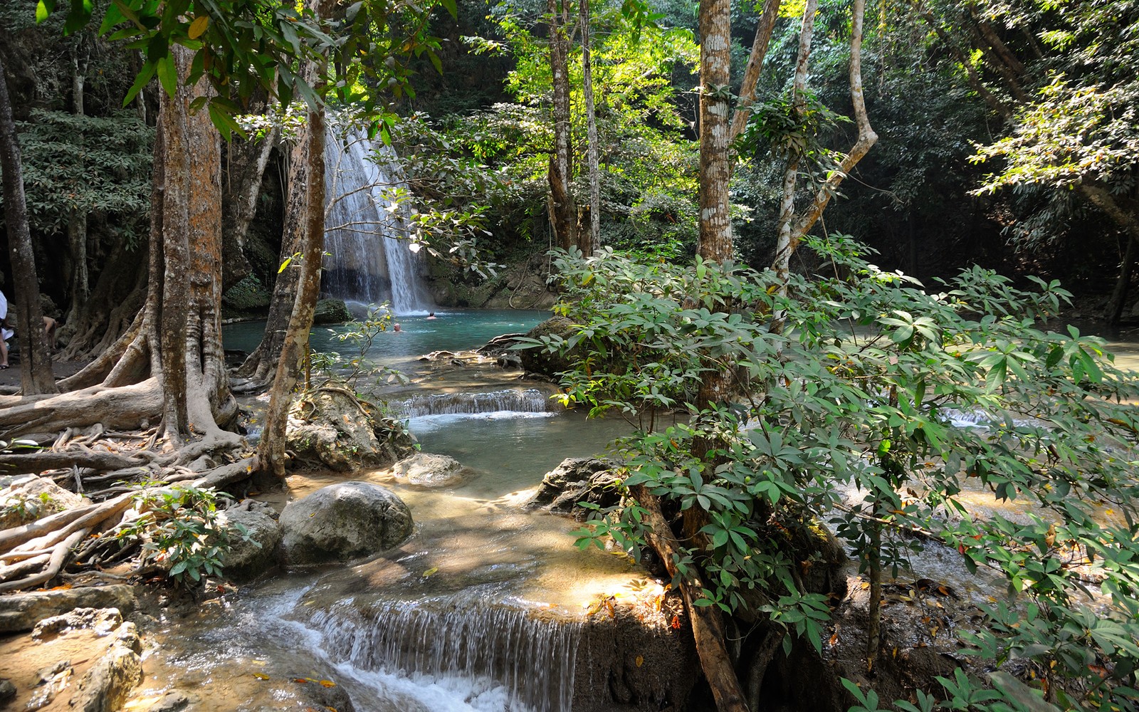 Homem em pé em frente a uma cachoeira na selva (árvore, cachoeira, curso dágua, corpo de água, recursos hídricos)