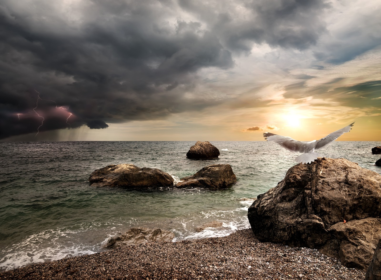 Une mouette volant au-dessus de l'océan avec un orage en arrière-plan (nuage, illustration, éclair, eau, atmosphère)