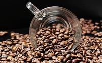 coffee bean, coffee, coffee roasting, roasting, caffeine wallpaper