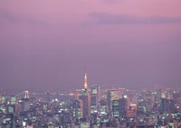 Skyline de Tokyo au crépuscule avec la Tour de Tokyo illuminée