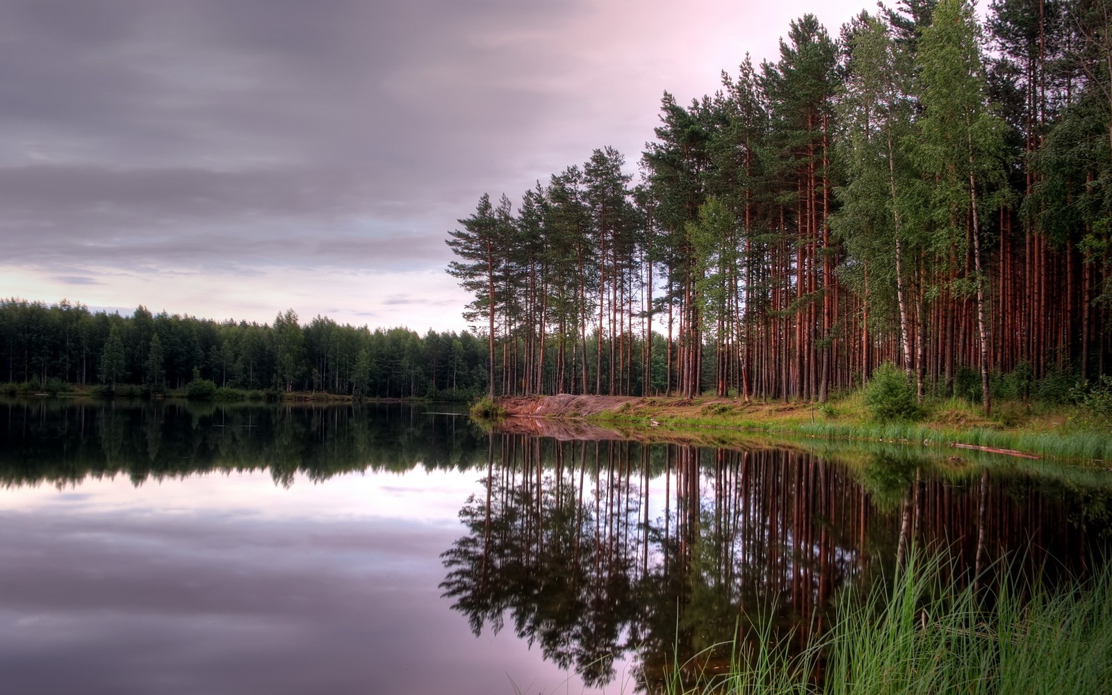 Bäume spiegeln sich im wasser eines sees mitten im wald (reflexion, natur, wasser, baum, see)