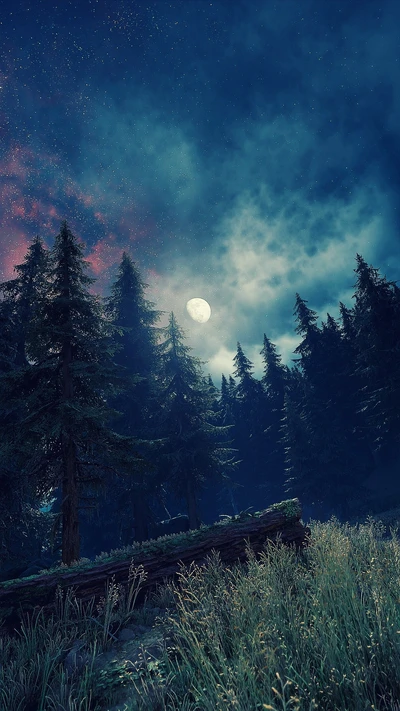 Moonlit Forest Under a Starry Sky