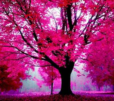 Lebhaft pinker Baum in magischer Natur