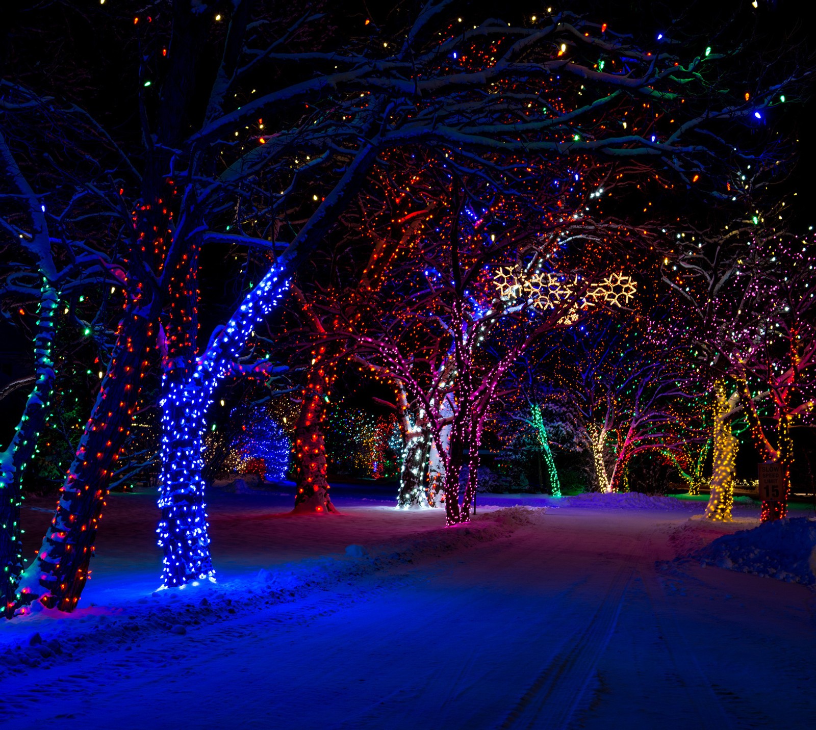 Arafed trees covered in christmas lights in a snowy park (alley, globe light, lights, night, tree)