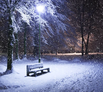 Winterwunderland: Schneebedeckte Bäume und eine einsame Bank