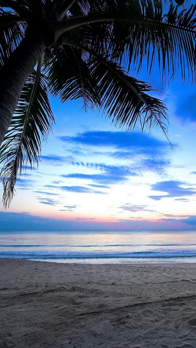 Tropischer Sonnenaufgang über einem ruhigen Strand und Ozean