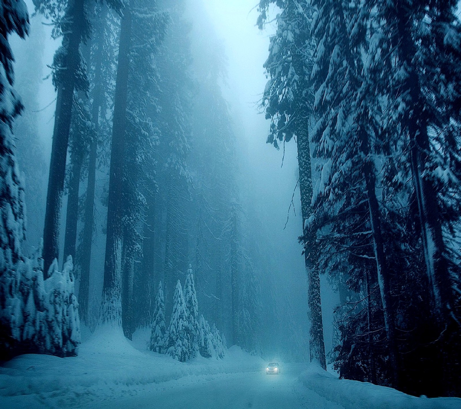 Snowy road with a car driving through it in the middle of a forest (nature)